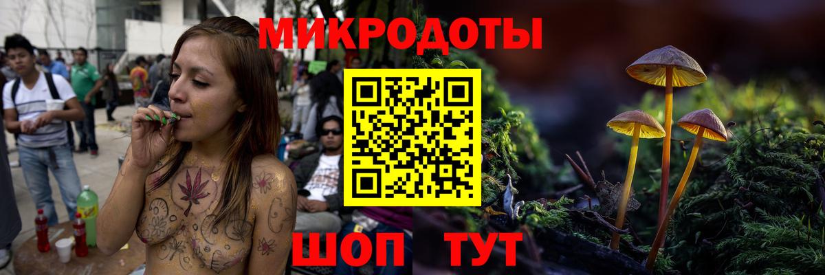 Псилоцибиновые грибы Psilocybine cubensis Великий Новгород