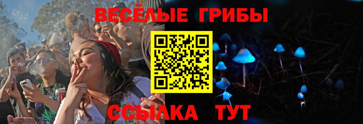 Великий Новгород  Галлюциногенные грибы мухоморы  Вход с VPN  Псилоцибиновые грибы ЛСД 